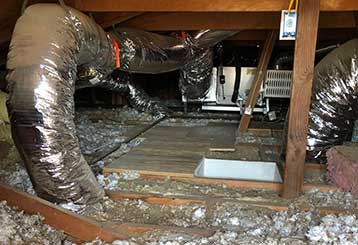 Crawl Space Cleaning | Attic Cleaning Thousand Oaks, CA