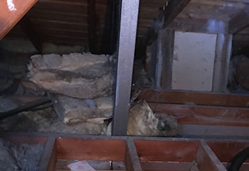 Rodent Proofing Project | Attic Cleaning Thousand Oaks, CA