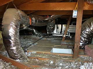 Crawl Space Cleaning Services | Attic Cleaning Thousand Oaks, CA Crawl Space Cleaning Services | Attic Cleaning Thousand Oaks, CA